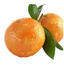 Mandarin