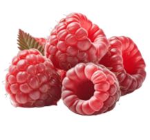 Frozen Raspberry