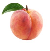 Korean Peach