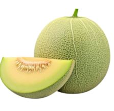 Korean Melon