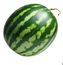 Watermelon