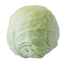 Cabbage