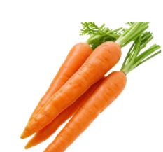 Carrot