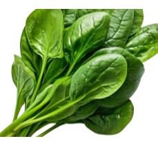 Spinach