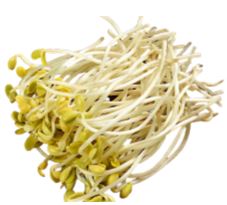 Bean Sprouts