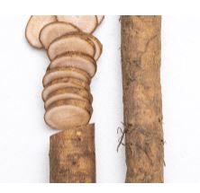 Burdock Root