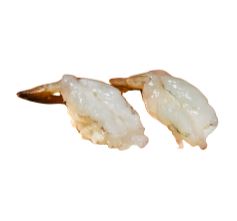 White Shrimp