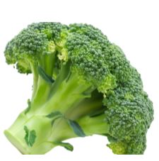 [645966] Broccoli