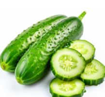 [645971] Green Cucumber