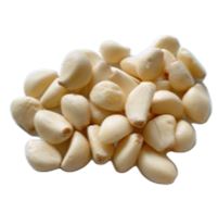 [645975] Peeled Garlic