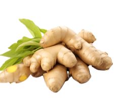 [645976] Ginger