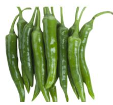 [645984] Hot Pepper (청양고추)